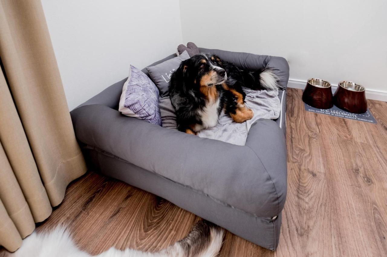 Landhaus Schulze - Ihr Hundefreundliches Hotel Im Harz Herzberg am Harz Ngoại thất bức ảnh